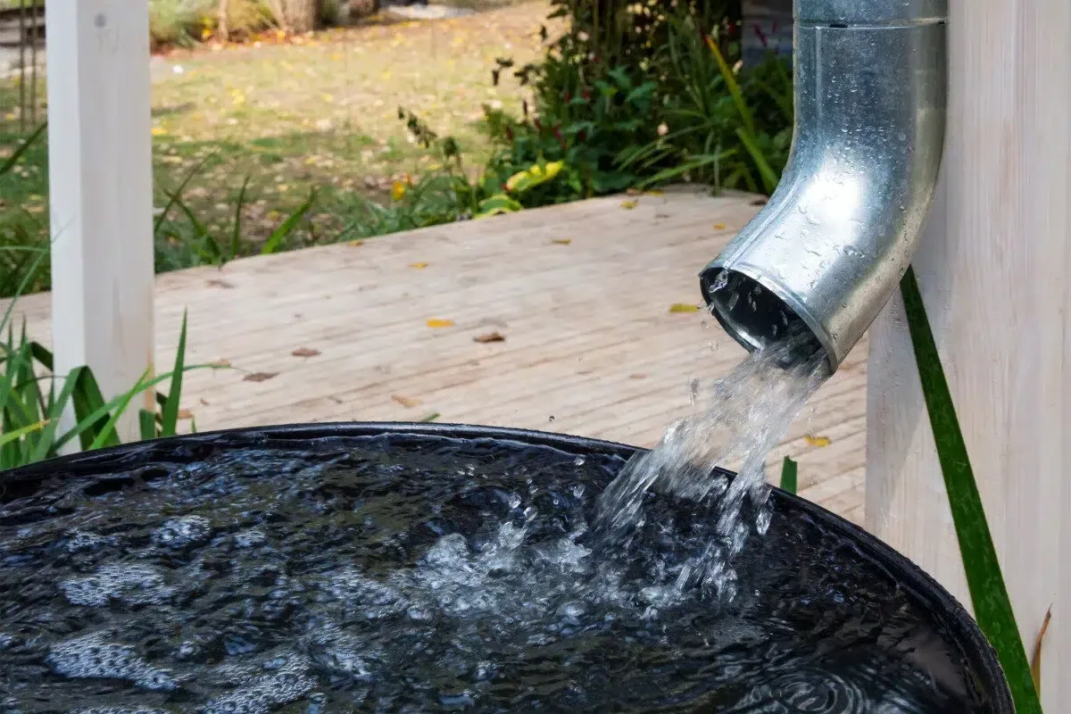 rain collection system (1)