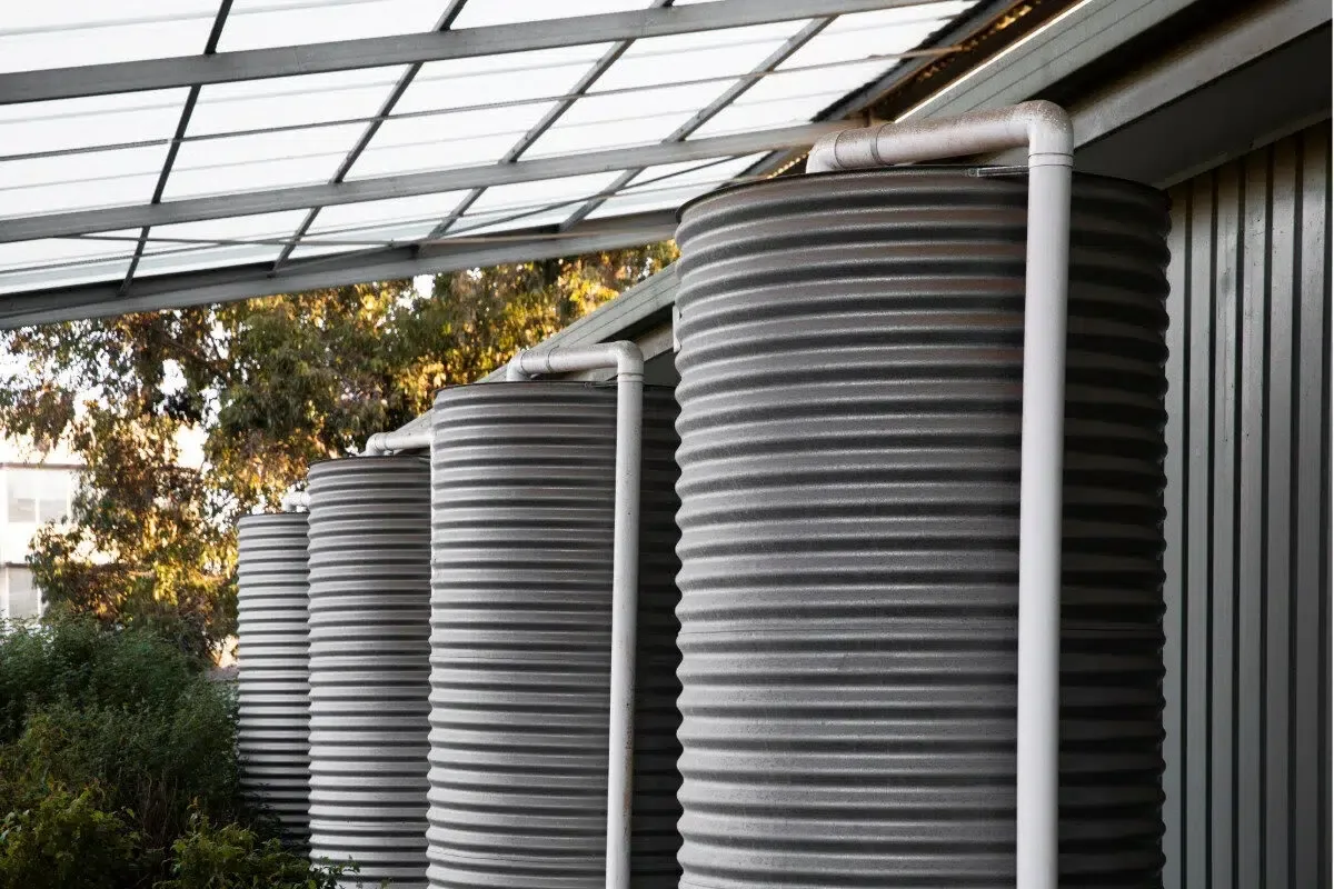 rain collection system (4)