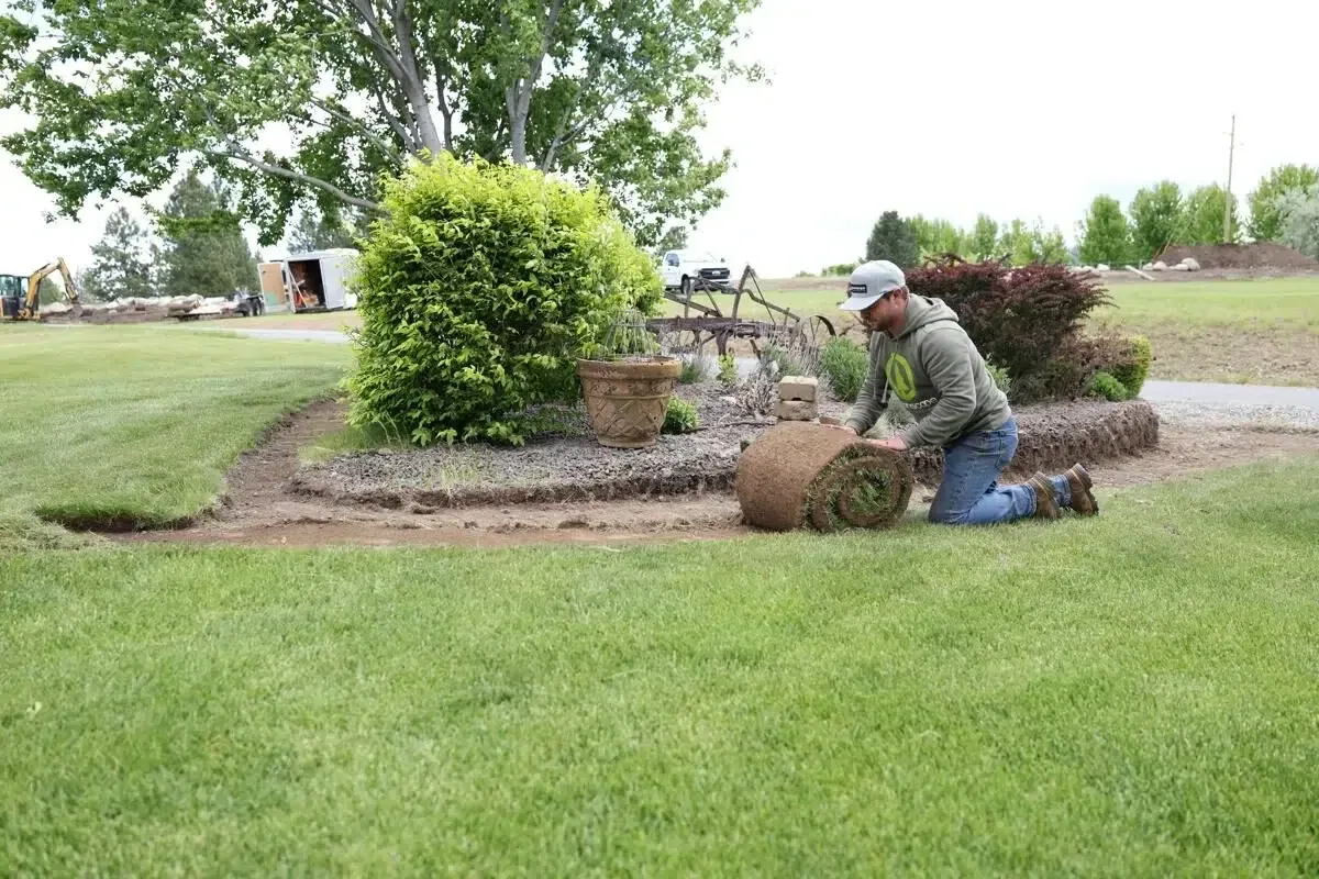 Sod installation performed by a Greenscapes technician