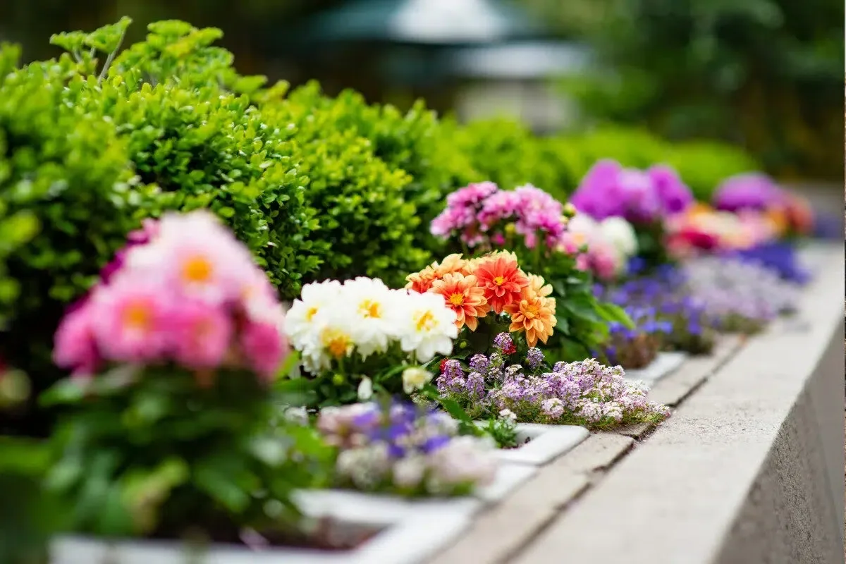 spring flower bed