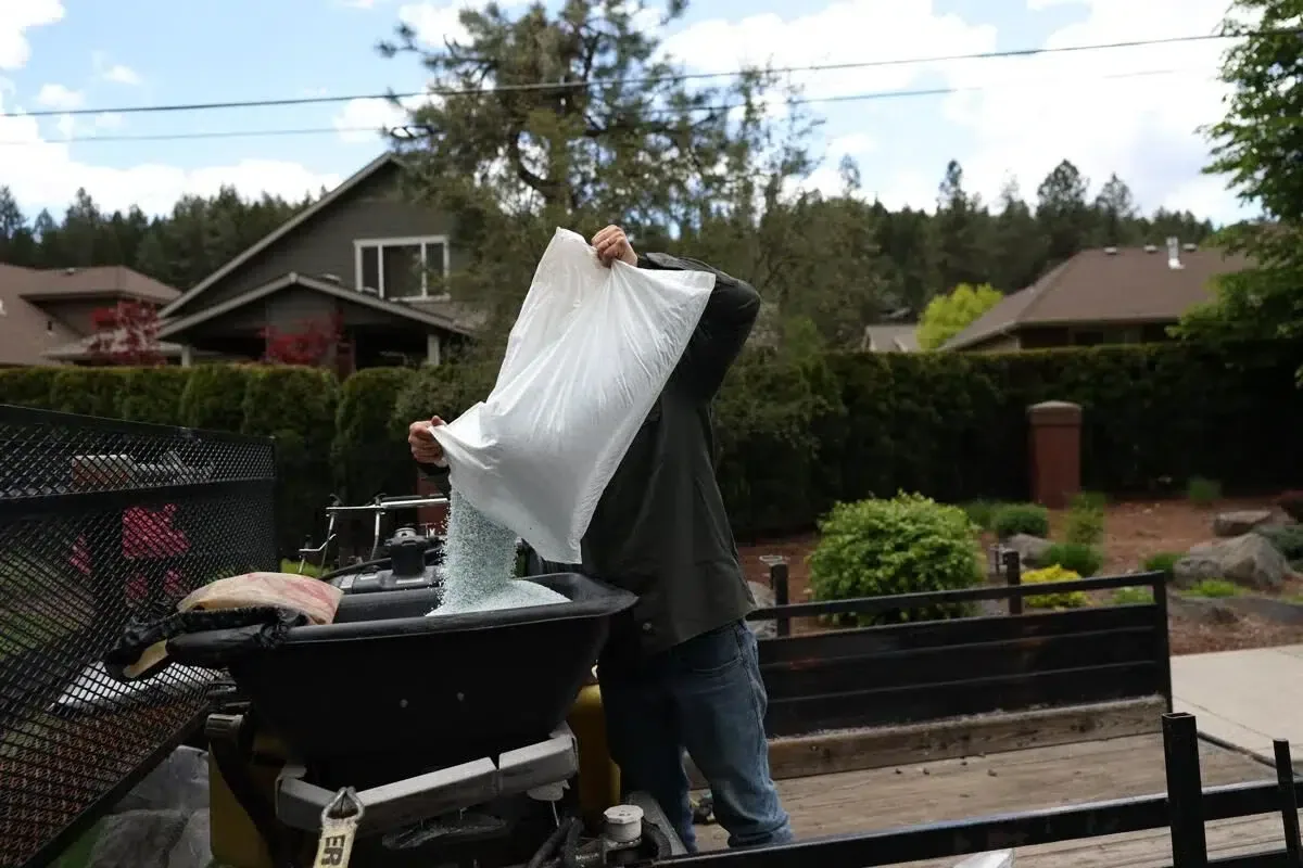 Worker emptying collected lawn debris into a trailer during turf maintenance.