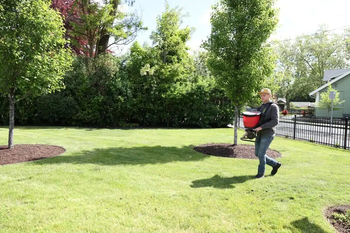 A Greenscape Landscaping techniciaan spreading lawn fertilizer