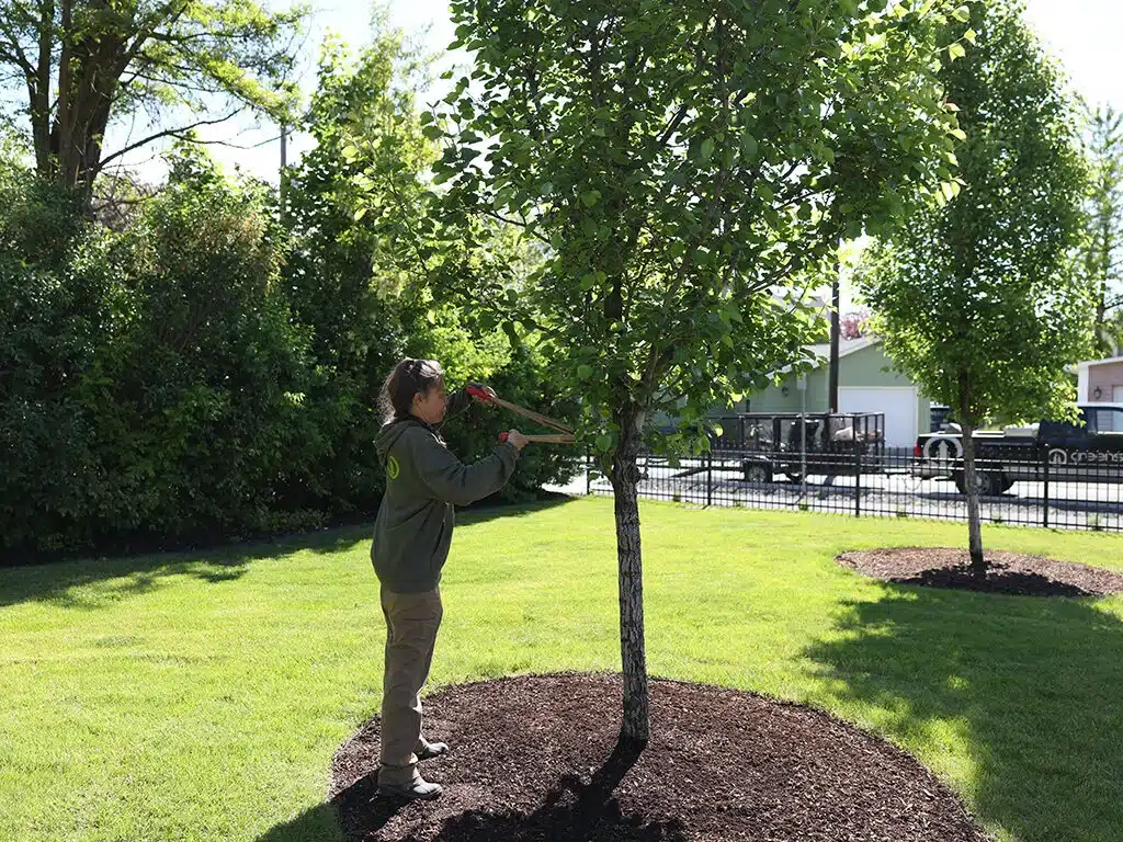 Greenscape Landscaping offers Pruning Services