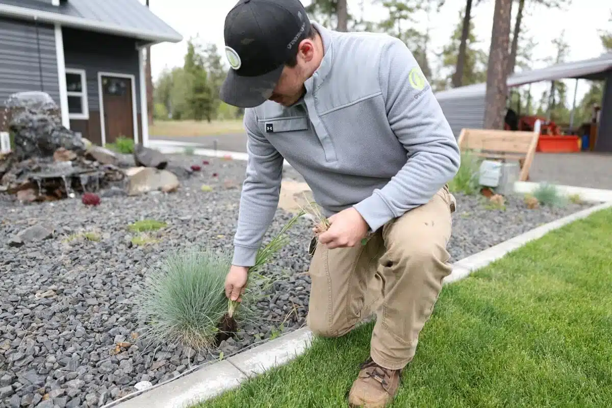 Greenscapes landscaping technician performing post-emergent weed control