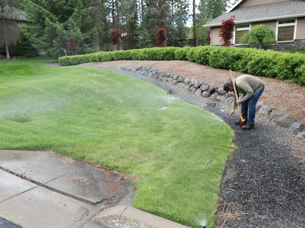 A worker in a green shirt and jeans is bent over, tending to a sprinkler head or irrigation system component on the edge of a lush green lawn, next to a gravel path and decorative rock wall. Sprinklers are actively watering the grass in the foreground and midground, with a well-maintained house and trees in the background.