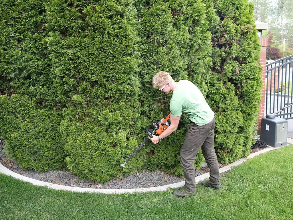 Spring cleanup services