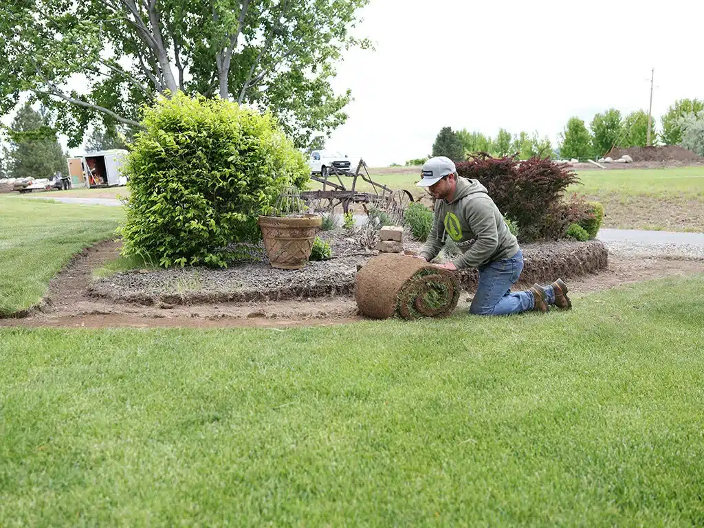 We install new Sod or turf in Spokane WA