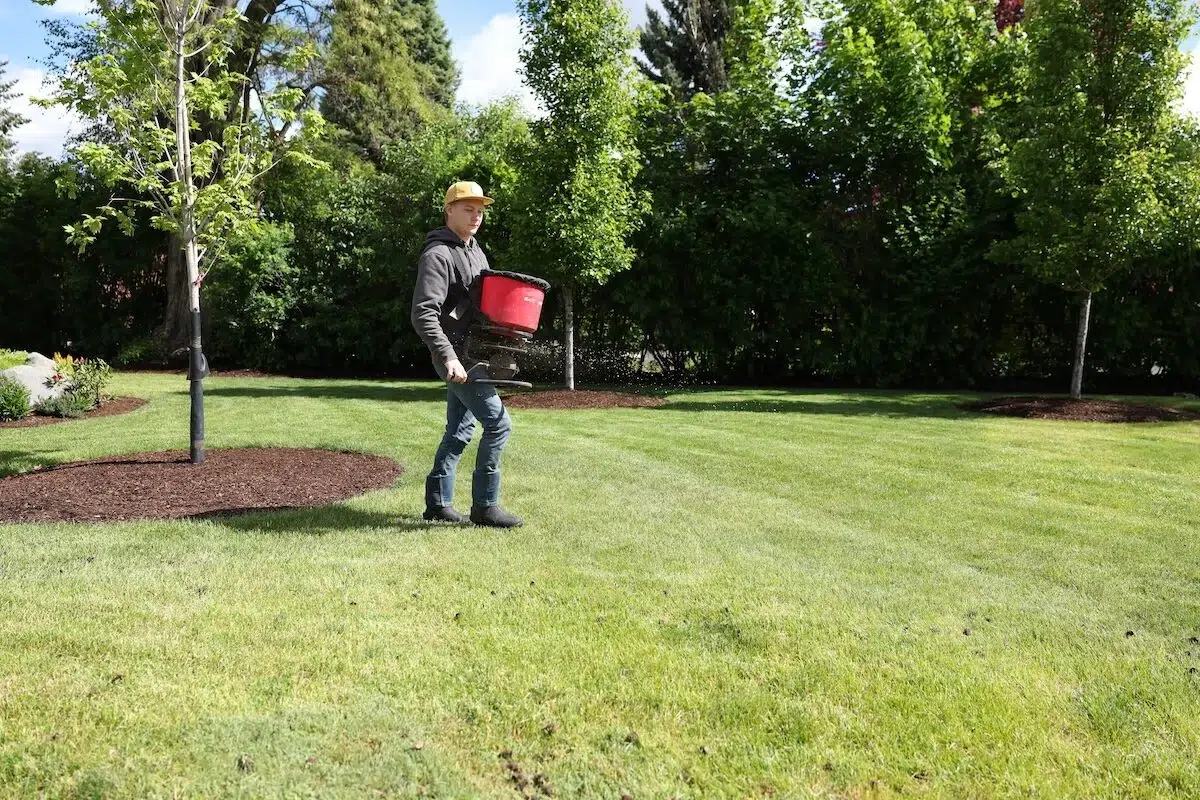 Greenscape Landscaping tech spreading fertilizer at a customers home in Spokane Washington