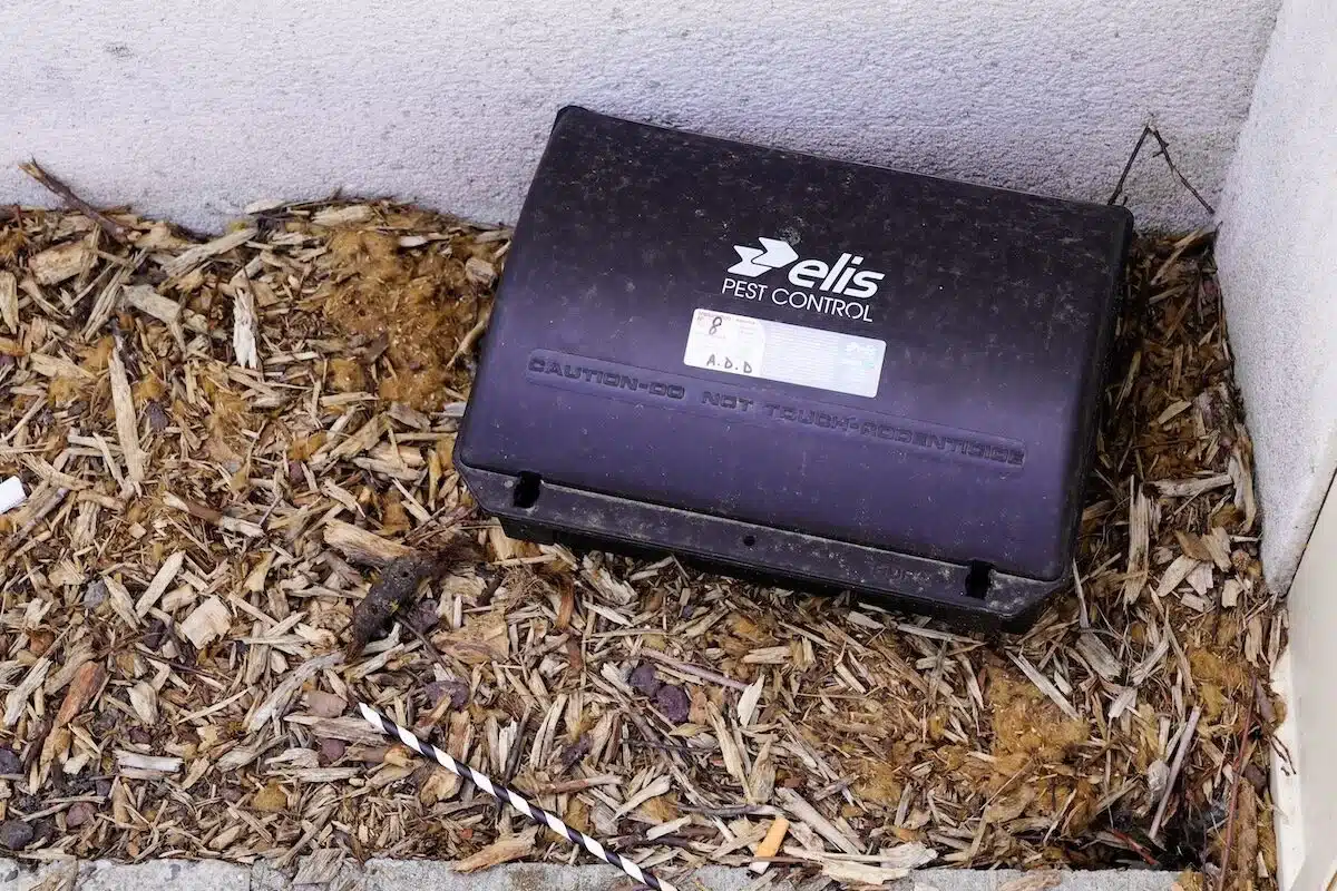 Rodent control station