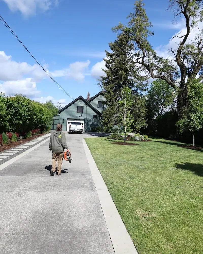We blow off debris after each weekly mowing