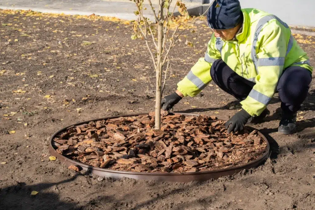 Fall Cleanup & Leaf Removal (3)