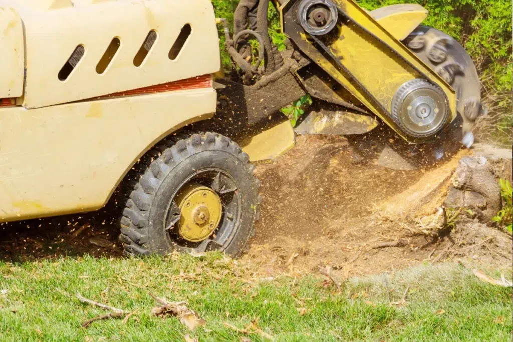 stump grinding