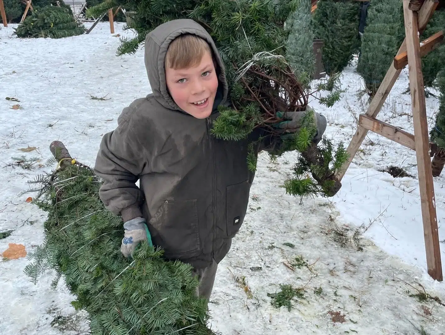 support local christmas tree sellers at Spokane Greenscape