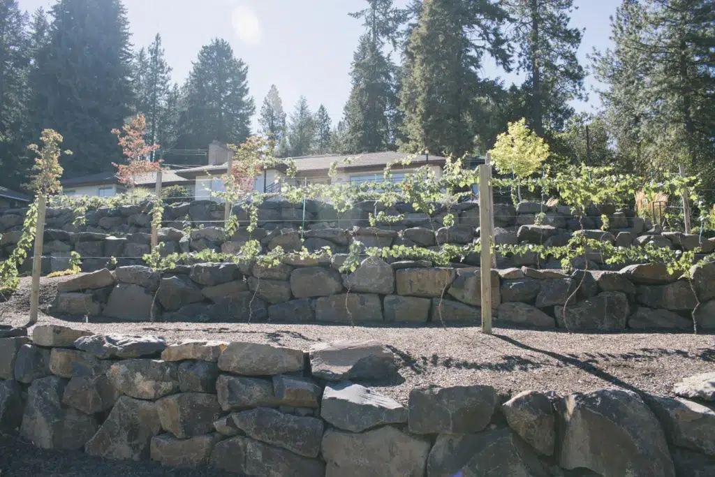 Multi-Level Garden Beds with Tiered Stone Walls