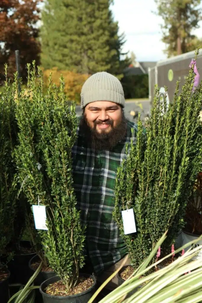 Shrub Delivery for Landscape Planting