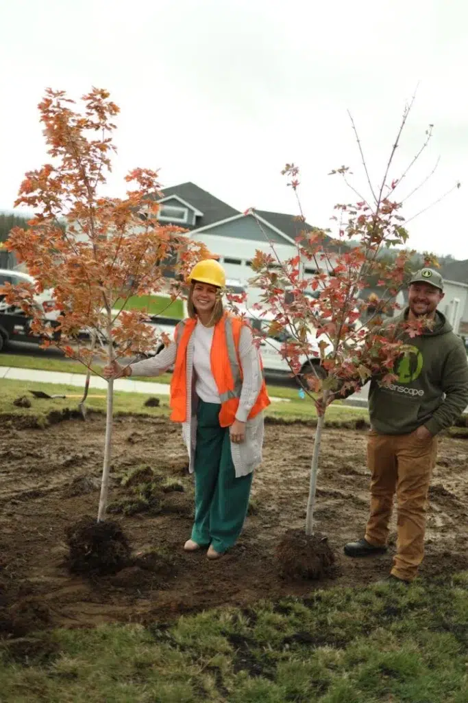 Tree Planting in Progress with Fall Foliage