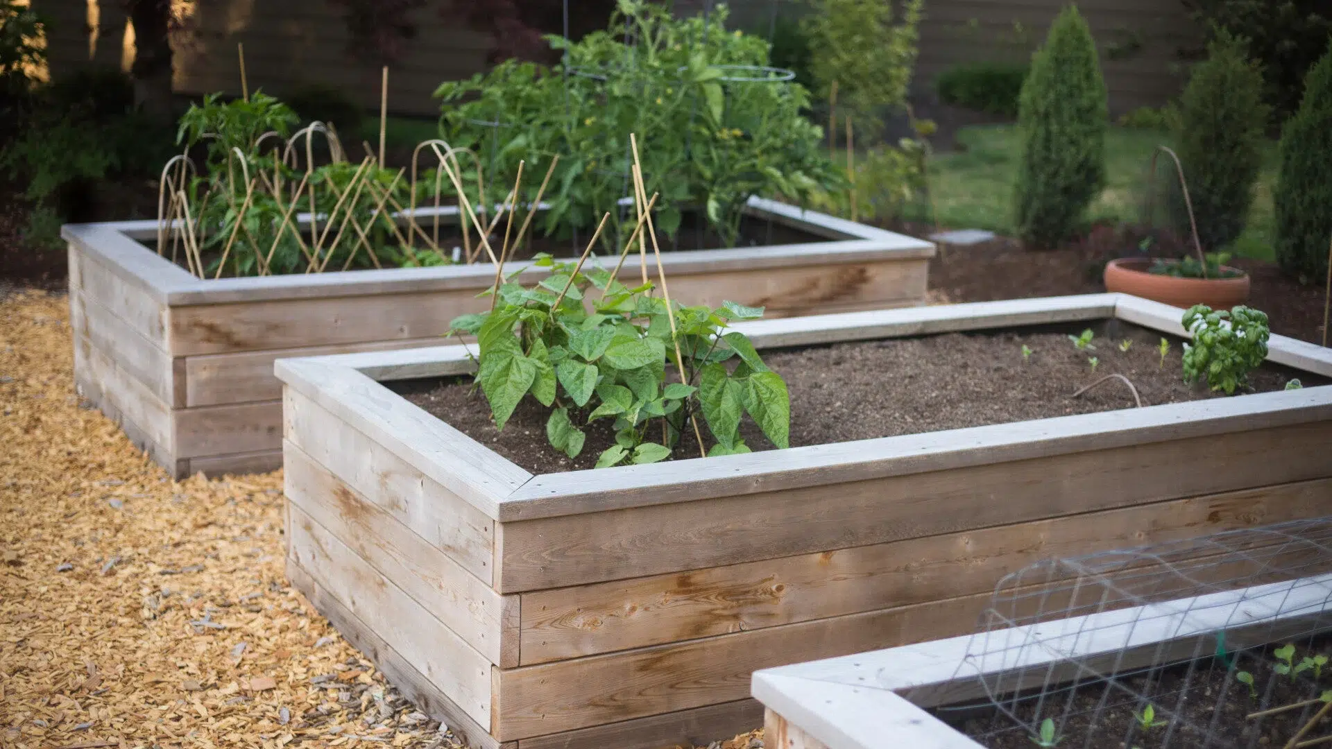garden boxes