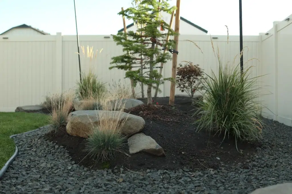 landscape design Rock Garden with Young Trees