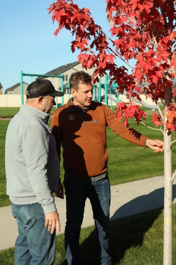 landscape design tree selection