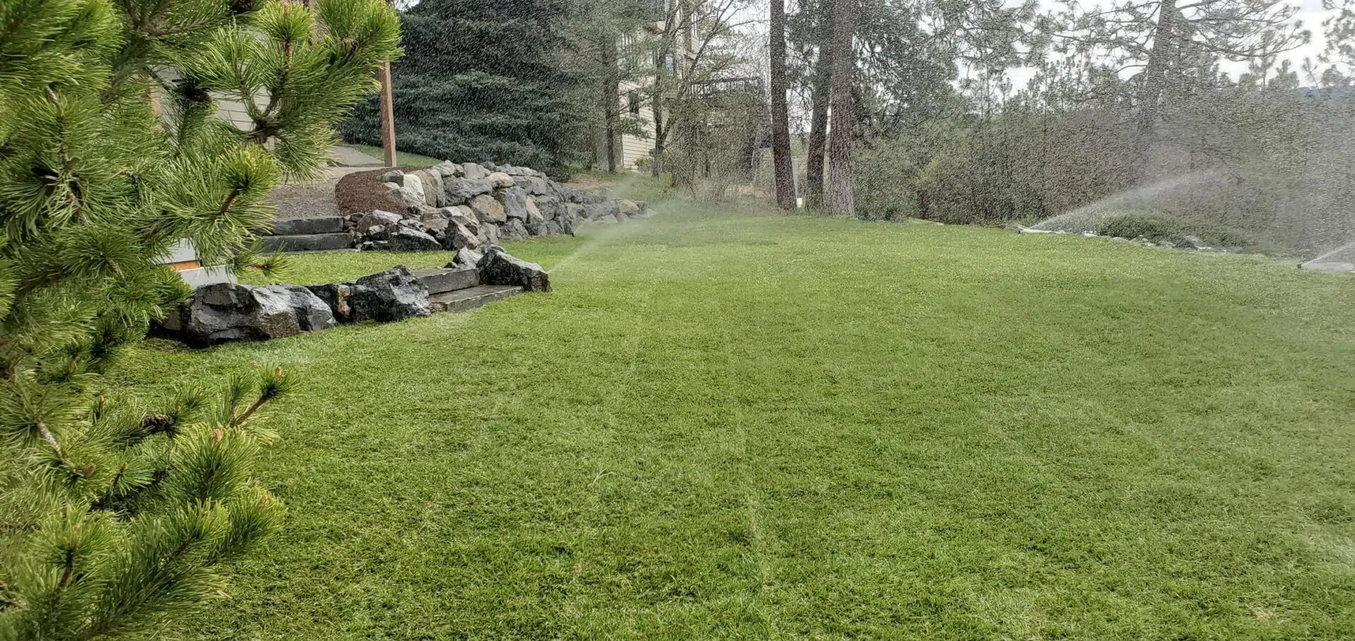 sprinkler blowout