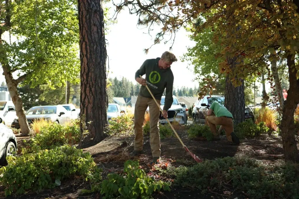 routine flower bed maintenance spokane greenscapes