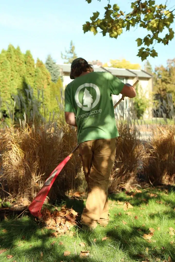 seasonal yard cleanup spokane greenscapes