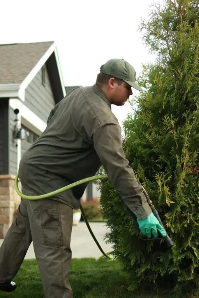 shrub care spokane greenscape