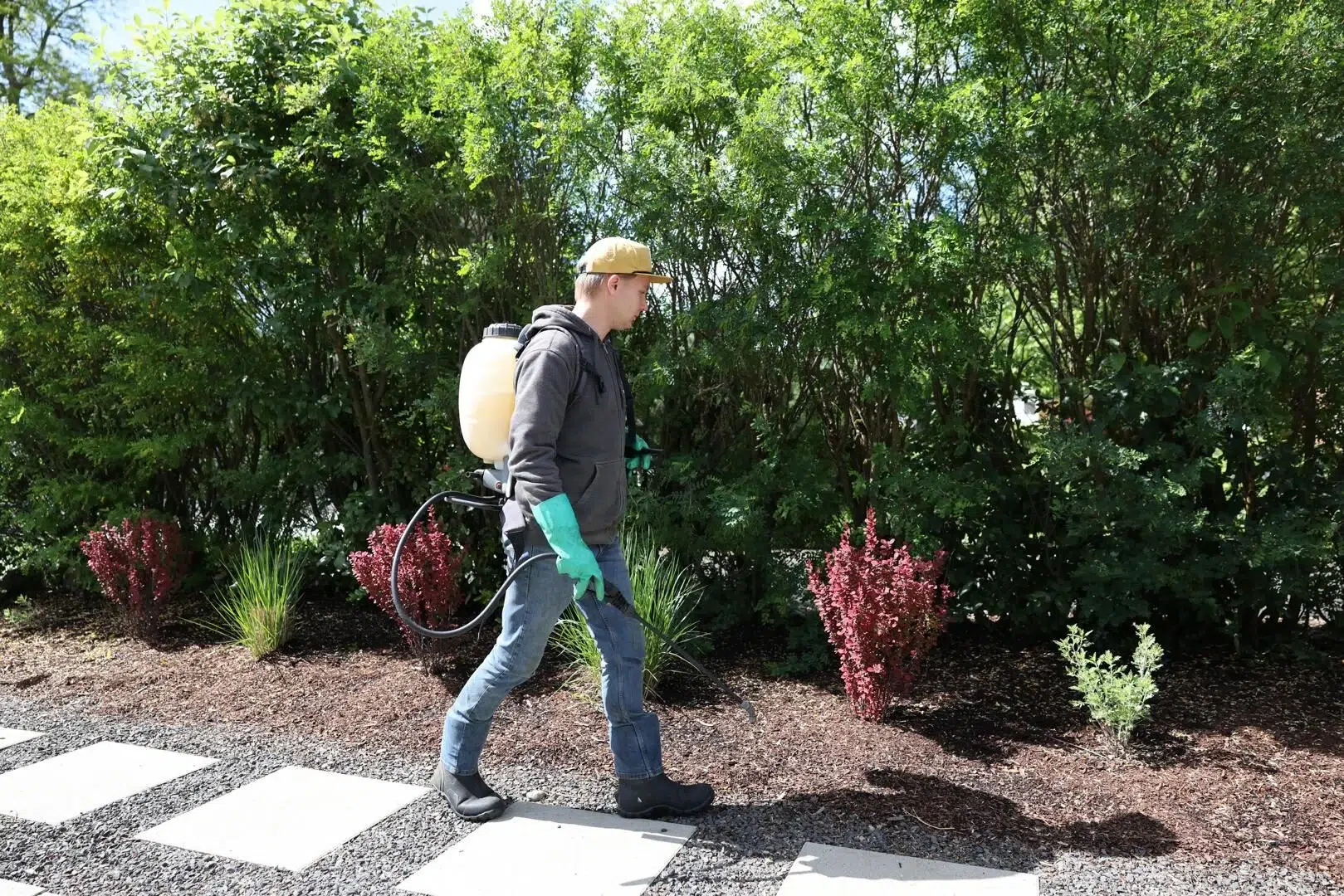 weed control spokane greenscape